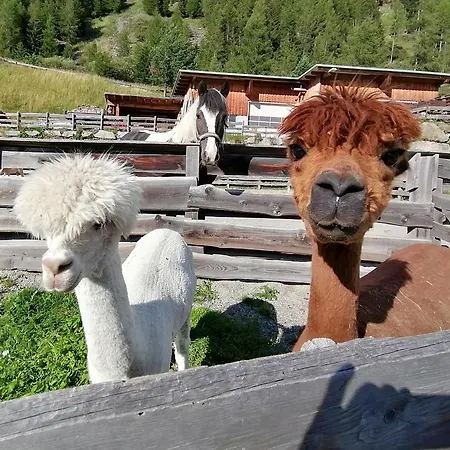 Bio & Reiterhof Der Veitenhof شقة *