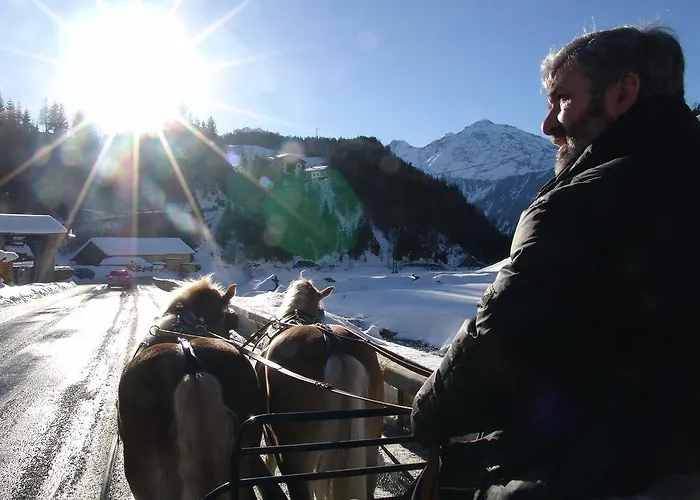 Bio & Reiterhof Der Veitenhof Appartement Niederthai