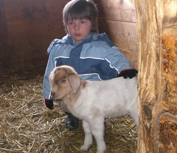 Bio & Reiterhof Der Veitenhof * Niederthai