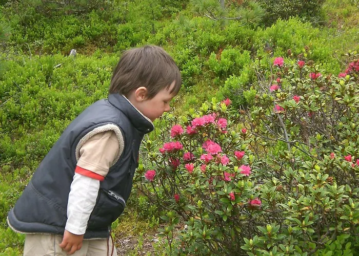 Appartement Bio & Reiterhof Der Veitenhof