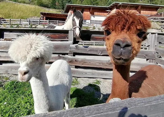 Bio & Reiterhof Der Veitenhof Appartement *