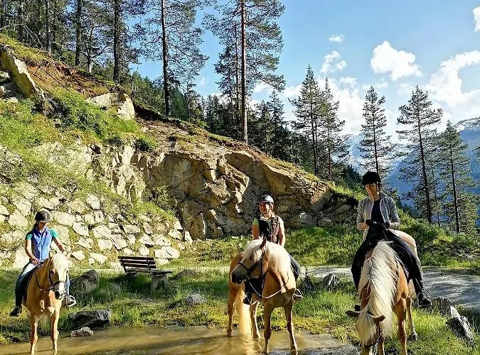 Bio & Reiterhof Der Veitenhof Appartement