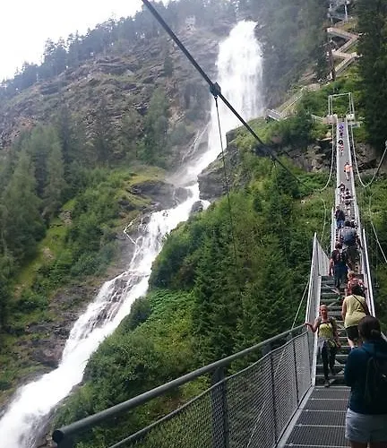 Bio & Reiterhof Der Veitenhof