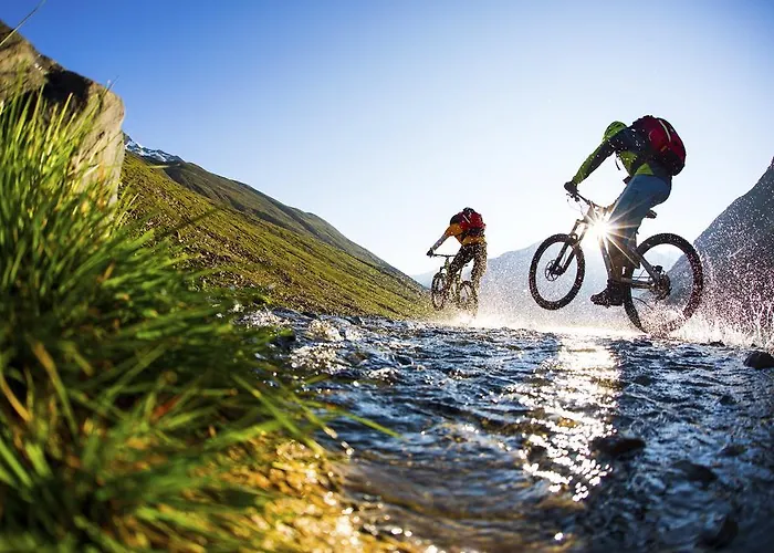 Bio & Reiterhof Der Veitenhof Niederthai