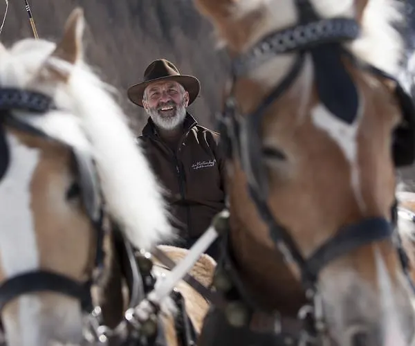 Bio & Reiterhof Der Veitenhof Niederthai
