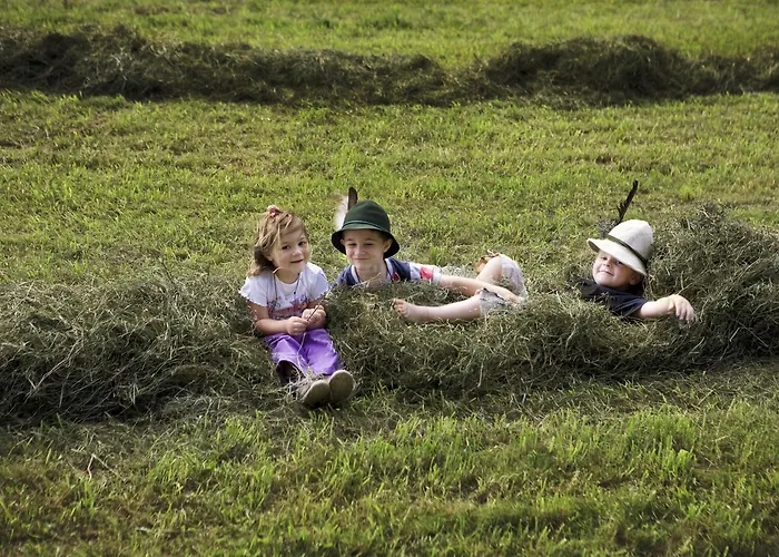 Bio & Reiterhof Der Veitenhof Niederthai