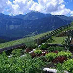 Апартаменты Bio & Reiterhof Der Veitenhof - Pferde, Berge, Wellness & Freiheit Im Oetztal