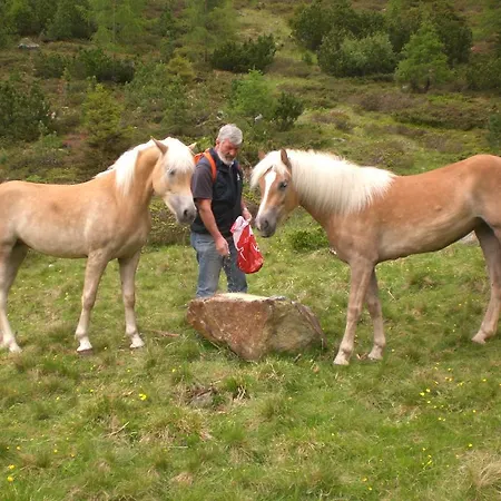 Bio & Reiterhof Der Veitenhof Нидертай