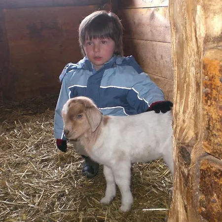 Bio & Reiterhof Der Veitenhof * Нидертай