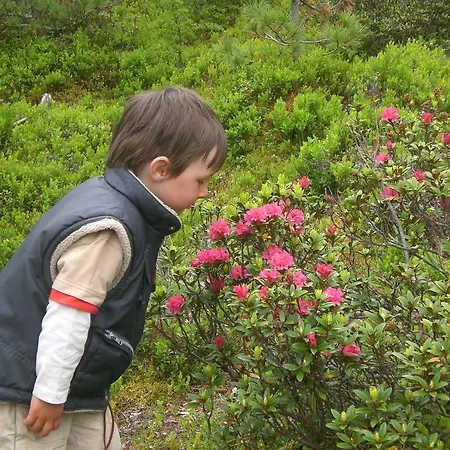 Апартаменты Bio & Reiterhof Der Veitenhof