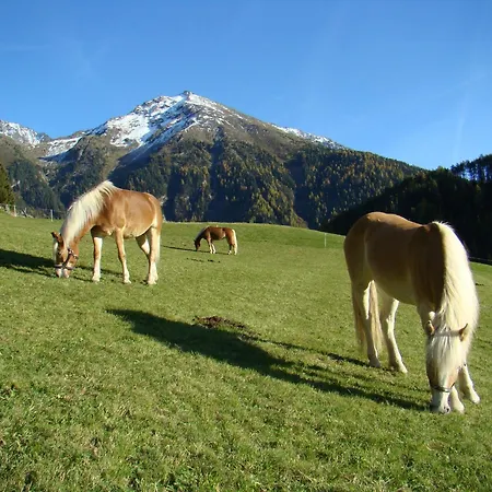 Bio&reiterhof Der Veitenhof - Mit Sauna Und Weitblick Im ötztal * Niederthai
