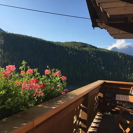 Bio & Reiterhof Der Veitenhof - Pferde, Berge, Wellness & Freiheit Im Oetztal 아파트 니더타이