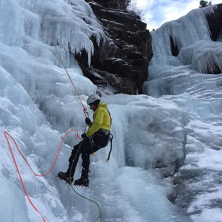 Апартаменты Bio & Reiterhof Der Veitenhof