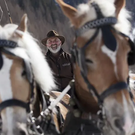 Bio & Reiterhof Der Veitenhof Нидертай