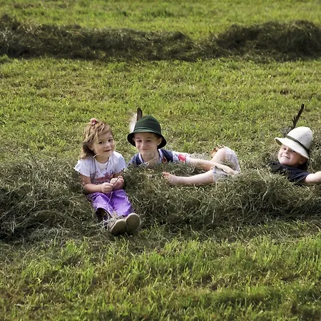 Bio & Reiterhof Der Veitenhof Нидертай