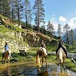 Bio & Reiterhof Der Veitenhof - Pferde, Berge, Wellness & Freiheit Im Oetztal דירה