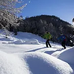 Bio & Reiterhof Der Veitenhof - Pferde, Berge, Wellness & Freiheit Im Oetztal דירה *