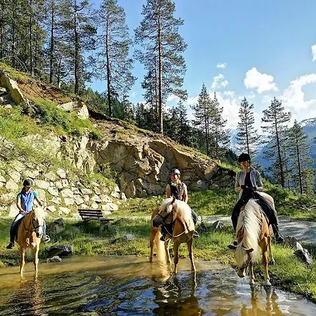 Bio & Reiterhof Der Veitenhof - Pferde, Berge, Wellness & Freiheit Im Oetztal Lejlighed